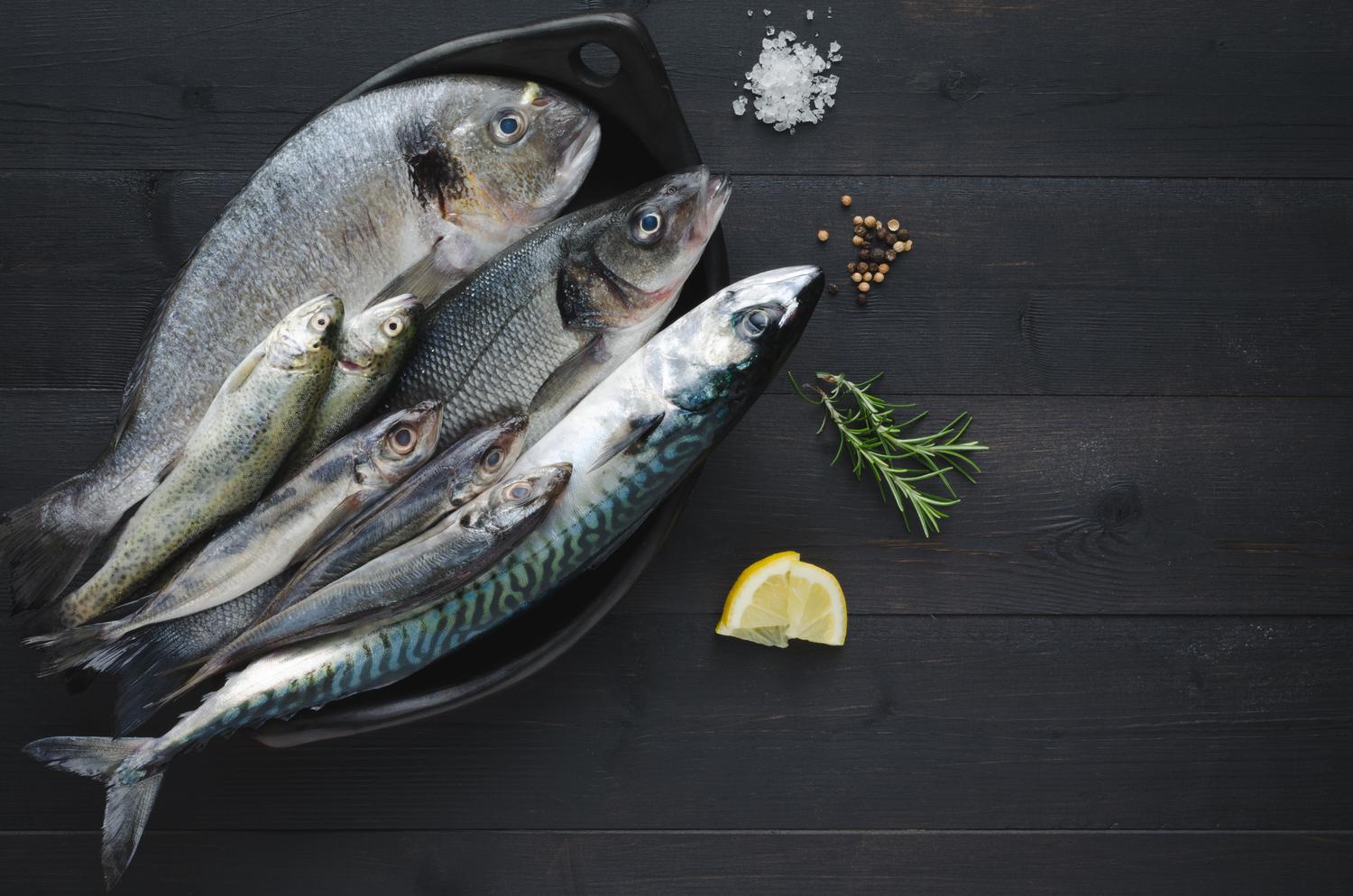 Frischer Fisch von der Nordsee