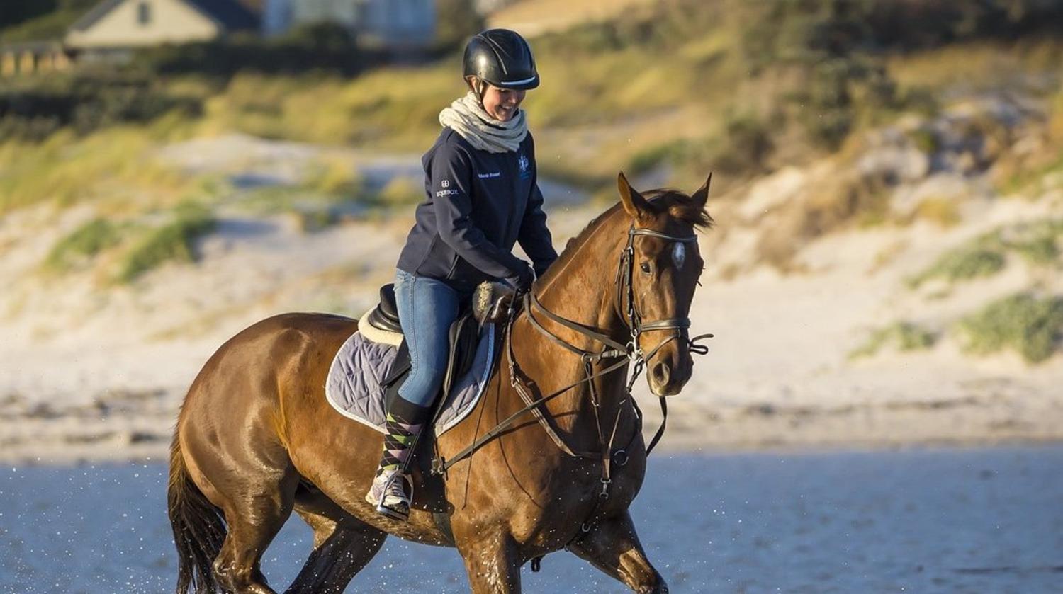 Reiter und Pferd am Sandstrand